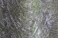 Milford fibreglass roof work